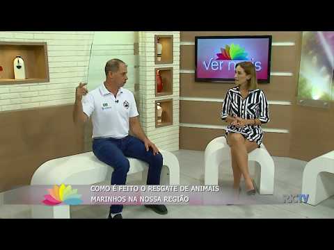 Como é feito o resgate de animais marinhos na nossa região