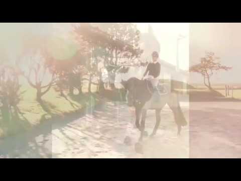 Eskadron Heritage Kollektion 2016