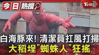 大稻埕蜘蛛人「搖搖欲墜」!白海豚炸北台 101雨水噴半空