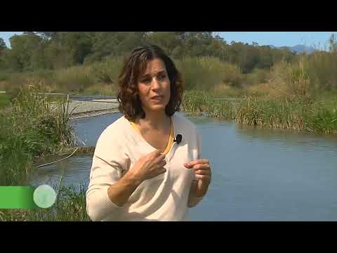 Corredor Verde del Guadalhorce, 190 km de senderos transitables de gran valor medioambiental