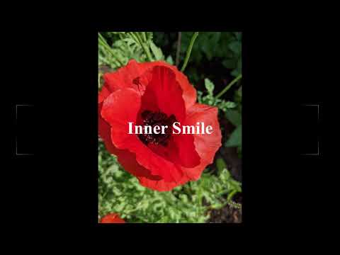 5 Minute Meditation: Inner Smile @ belitfromwithin.com