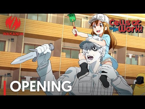 Review: Cells at Work! – I Watched an Anime