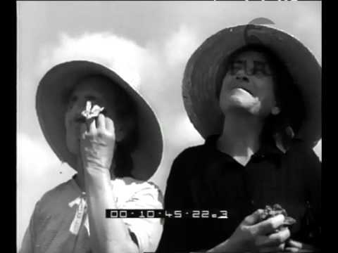 30 minuti di ciclone a Trino Vercellese