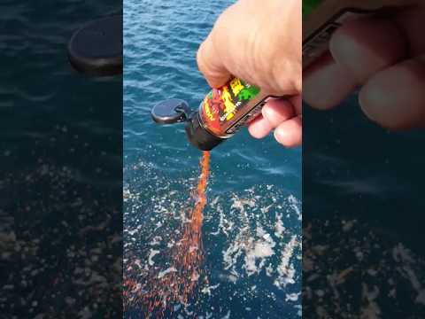 激辛のハバネロを海に撒くと凄いことになった