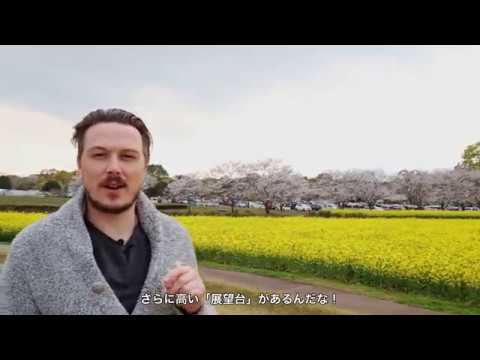 PROMO：Saitobaru burial mounds＿SaitoCity Miyazaki (Japanese subtitles)