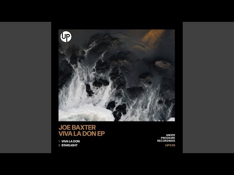 Viva La Don (Original Mix)
