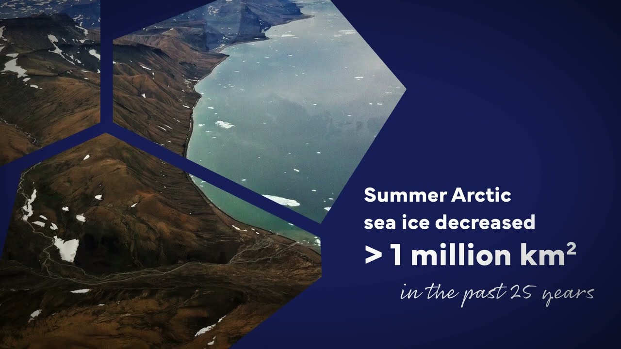 Seafloor primary production in a changing Arctic Ocean