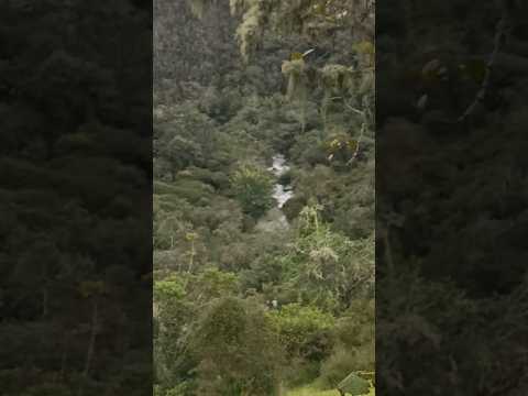 Rio chitaga norte de Santander Colombia 🇨🇴 campesinos