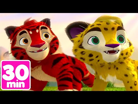 Leo and Tig - Bad Luck & The Sun Folk + More 🐯 Episodes 21–23 🦁 Toon Mania - Little Zoo Club