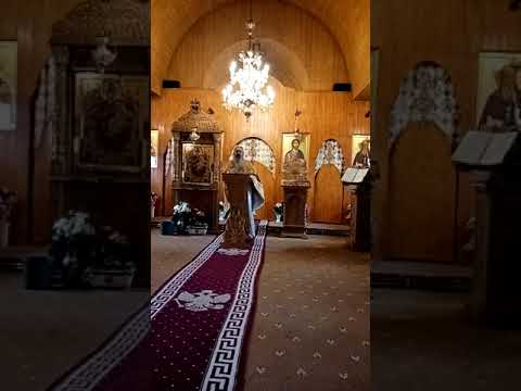 Predica Protosinghel Maxim. Mănăstirea Ohaba