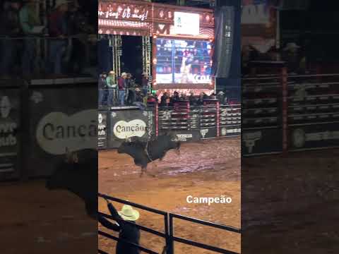 Rodeio Atalaia Paraná