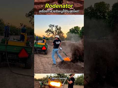 Rodenator เครื่องทำลายรังหนูใต้ดินสุดโหด! #สาระความรู้ #เครื่องกำจัดหนู #เกษตรกร #นวัตกรรม #shorts