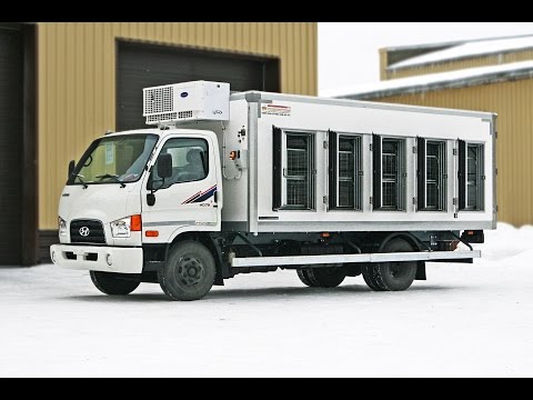 Hyundai HD 78 эвтектика с задними воротами и универсальными тележками