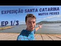 EP1 Expedição Em SC Laguna E Jaguaruna Diversidade De Peixes 1 3