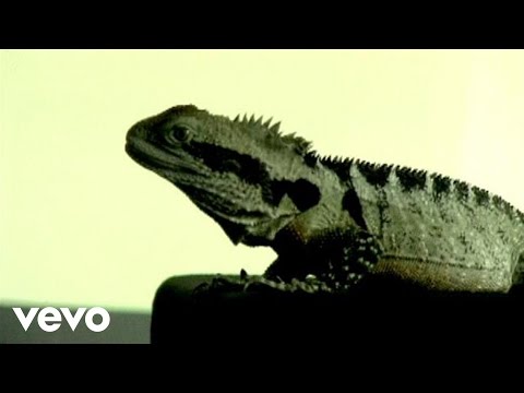 Oh! Emetophobia! - Showbread
