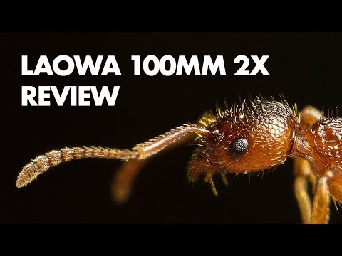 Video thumbnail for Video Review 3