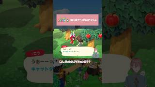【あつ森】猫の「1ごう」に猫グッズをあげたい #shorts #animalcrossing