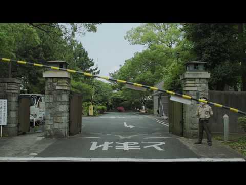 人文社会学科 【不在の時間#20】 渥美線沿い、クスノキの剪定　愛知大学豊橋キャンパスの様子
