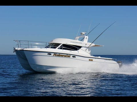 LeisureCat 350 Sports Express