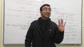 صورة التشبيه الضمني تعريفه وأمثلة موضحة له