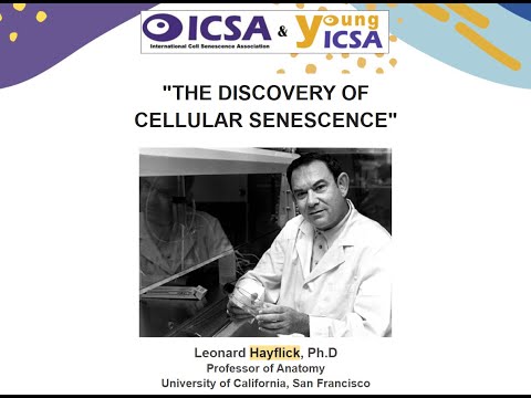 Leonard Hayflick - The Discovery of Cellular Senescence