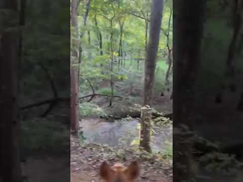 hiking the old wagon trail