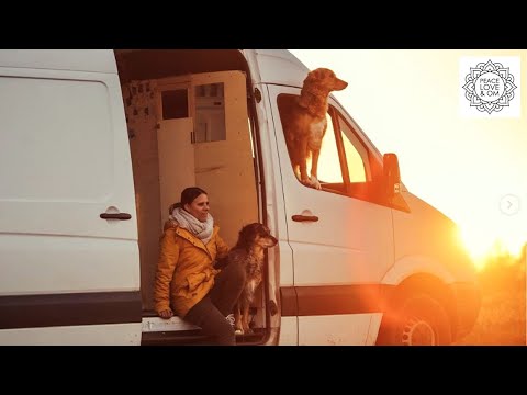 , title : 'Nach traumatischer Kindheit in die Freiheit gefunden - Lias Leben Vollzeit auf Reisen'