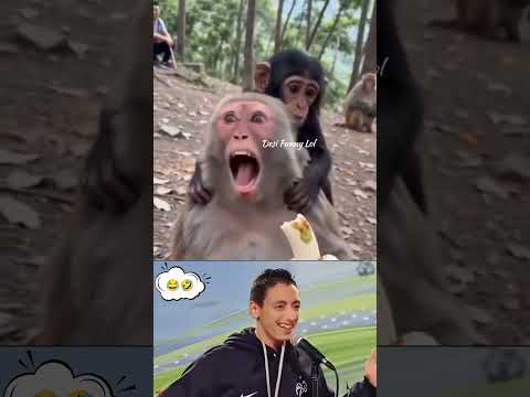 🍌 Bandar Ne Kela Khaya Aur Dost Ne Kiya Surprise 😂🐒 | Funny Monkey Moments #shorts