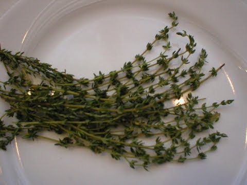 image-How do you store fresh thyme? 