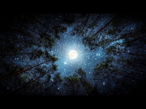 Deep Sleep Guided Meditation, Body Scan to Ease Tension Release Negativity (with Rainfall)