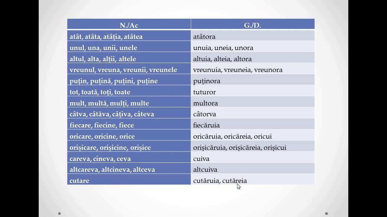 Pronumele nehot?rât ?i adjectivul pronominal nehot?rât (Clasa a VII-a)
