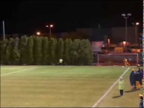 Andre Blake - Highlights