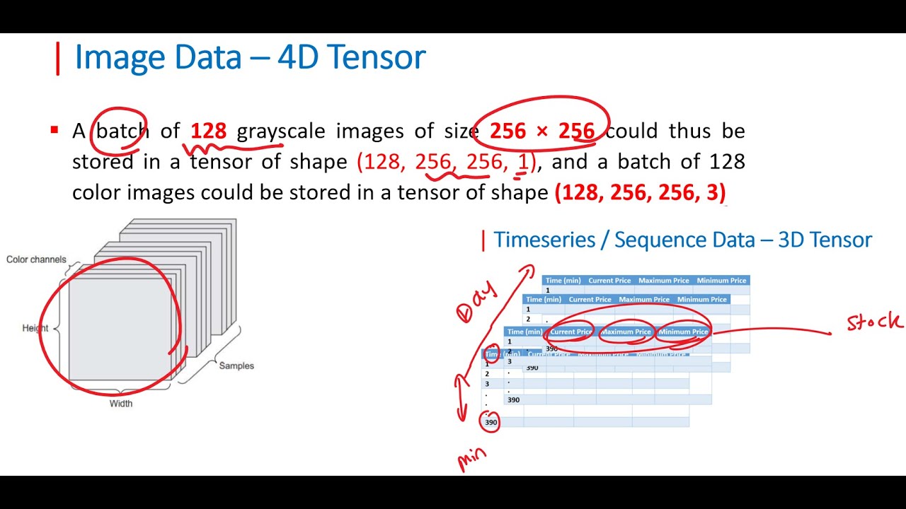 Data Types Representation using Keras
