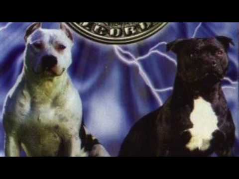 On fou l'zbel- XX Tape Vol 2