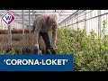 'Onzekerheid over coronavirus is op dit moment het ergste voor iedereen' - OMROEP WEST