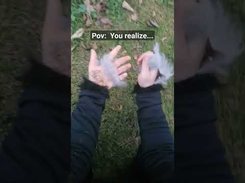 Sadly, we can never leave this body...😔 #therian #therianthropy