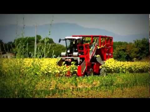 Spapperi S.r.l. - Raccoglitrice Tabacco RA 742 / Tobacco Harvester RA 742