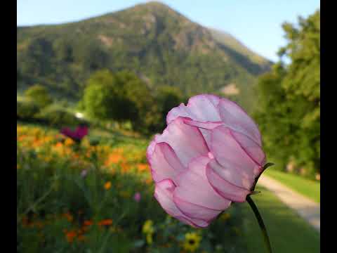 Kristus er født for oss; kom la oss tilbe ham!
