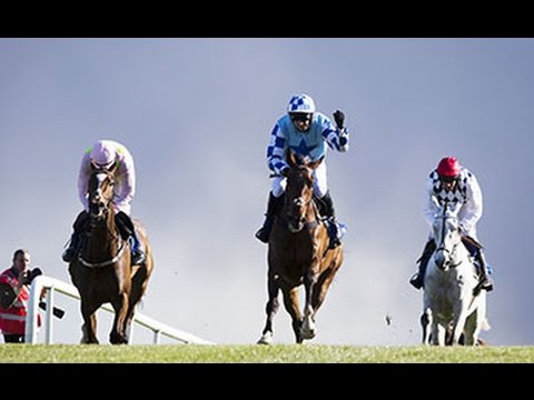 2016 Punchestown Champion Chase- Features Vautour, Simonsig, God's Own etc