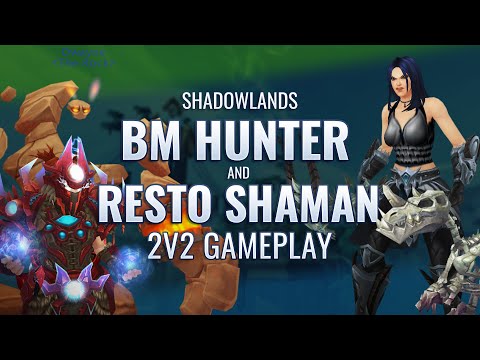 WoW Shadowlands 9.1 PvP || This comp DESTROYS WW's and Hunters || BM Hunter / Rsham 2s commentary
