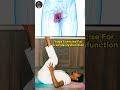 Erectile Dysfunction Yoga Exercise Erectiledysfunction Yogaformen Yoga