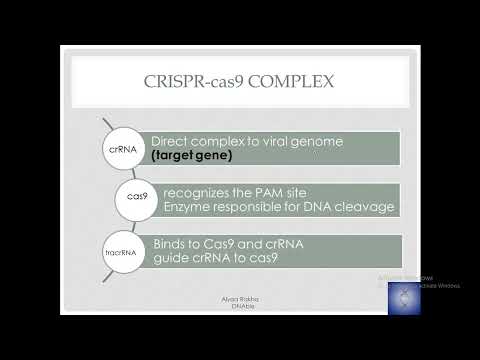 gene editing by CRISPR-cas9