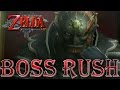 Zelda Twilight Princess HD All Bosses On Hero Mode No Damage