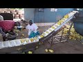 Bucket Conveyor Video