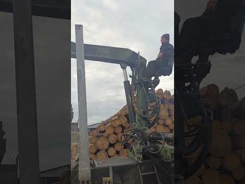 фото манипулятор для лесовоза loglift 85 0