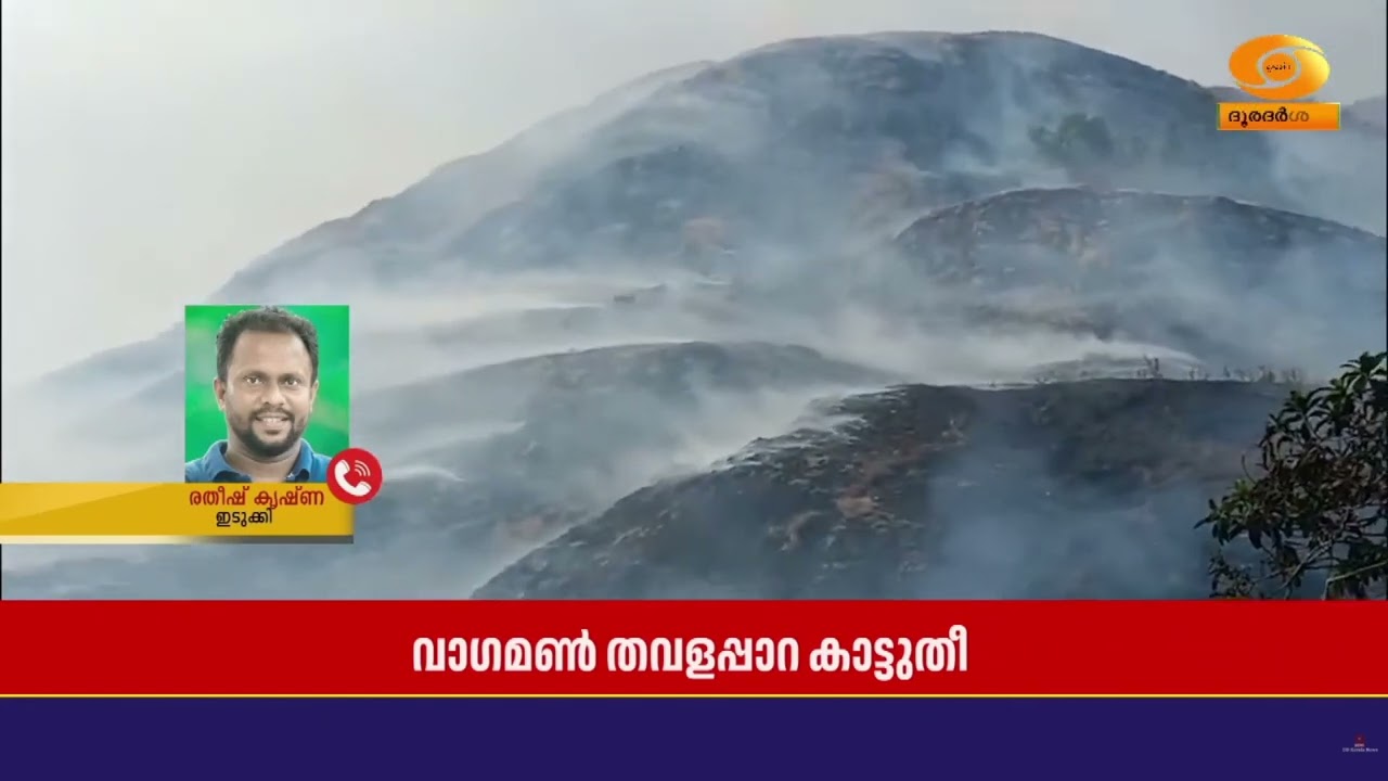 വാഗമൺ തവളപ്പാറ വടക്കേപുരട്ടിൽ പടർന്നുപിടിച്ച കാട്?