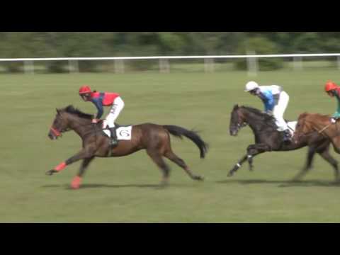 MI, 15. 7. 2017, 7. dostih - Cena Libereckého kraje