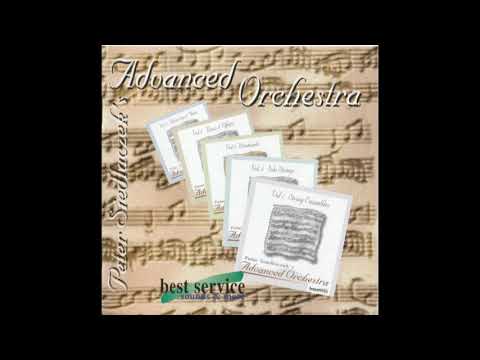 Best Service - Peter Siedlaczek's Advanced Orchestra - 5 CD AKAI Sampling Library image 13