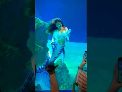 underwater dance mermaid merman - choreography part 5#shorts
