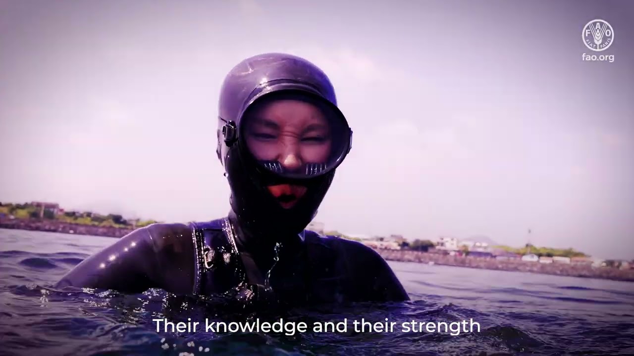 The deepest harvest: the vanishing art of Jeju's sea women